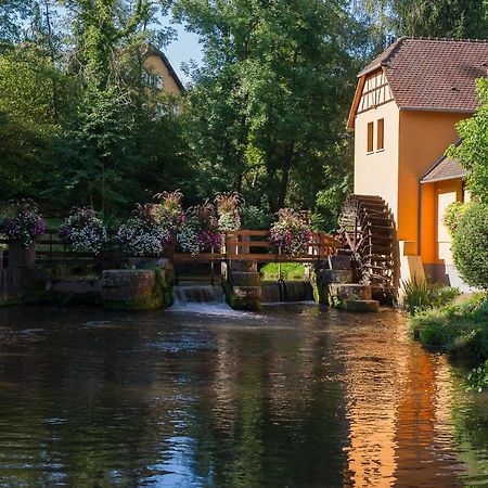 Le Moulin De La Walk Ξενοδοχείο Wissembourg Εξωτερικό φωτογραφία