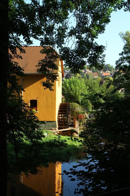 Le Moulin De La Walk Ξενοδοχείο Wissembourg Εξωτερικό φωτογραφία